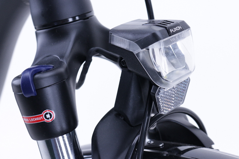 Pegasus Premium E9C Ah Damenfahrrad 9 Gang Kettenschaltung schwarz matt Bosch